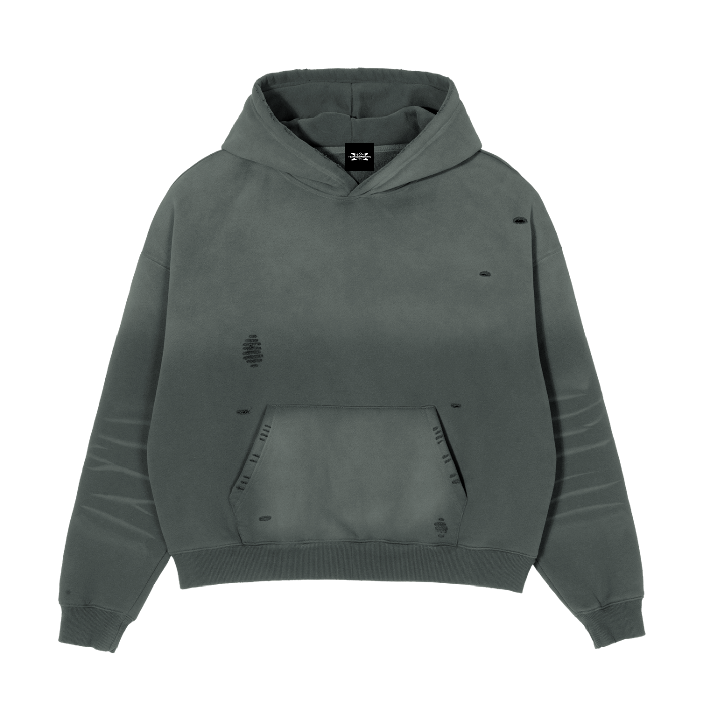 ProsperInMotion - Faith Over Fear Distressed Hoodie